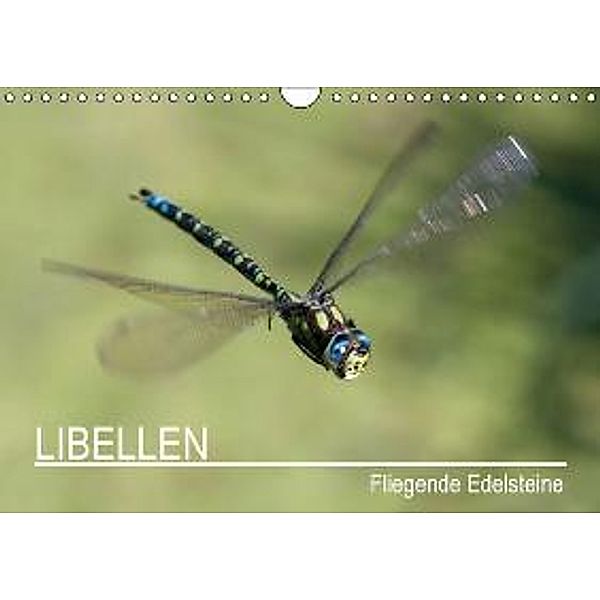 Libellen - Fliegende Edelsteine / CH-Version (Wandkalender 2015 DIN A4 quer), Andreas Lippmann