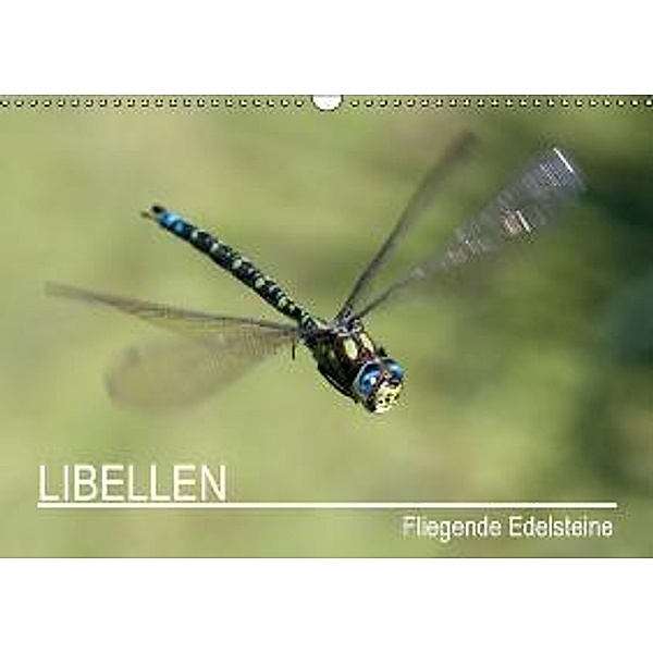 Libellen - Fliegende Edelsteine / CH-Version (Wandkalender 2015 DIN A3 quer), Andreas Lippmann
