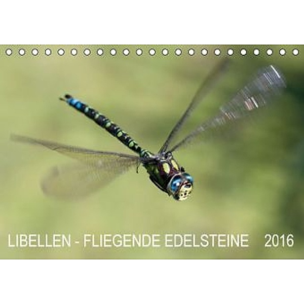 Libellen - Fliegende Edelsteine (Tischkalender 2016 DIN A5 quer), Andreas Lippmann