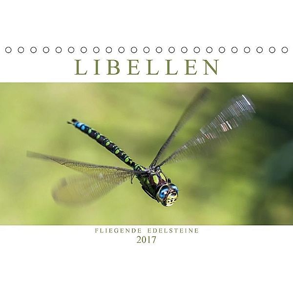 Libellen - Fliegende Edelsteine (Tischkalender 2017 DIN A5 quer), Andreas Lippmann