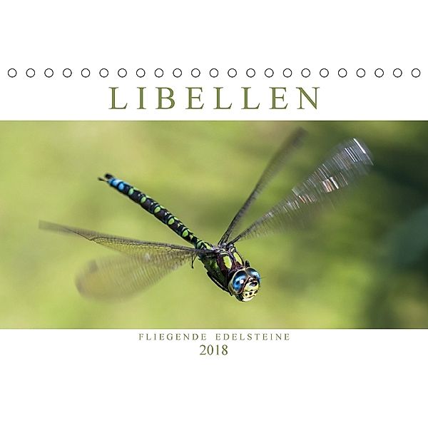 Libellen - Fliegende Edelsteine (Tischkalender 2018 DIN A5 quer), Andreas Lippmann