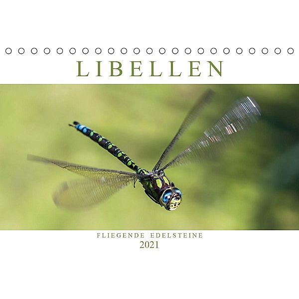 Libellen - Fliegende Edelsteine (Tischkalender 2021 DIN A5 quer), Andreas Lippmann