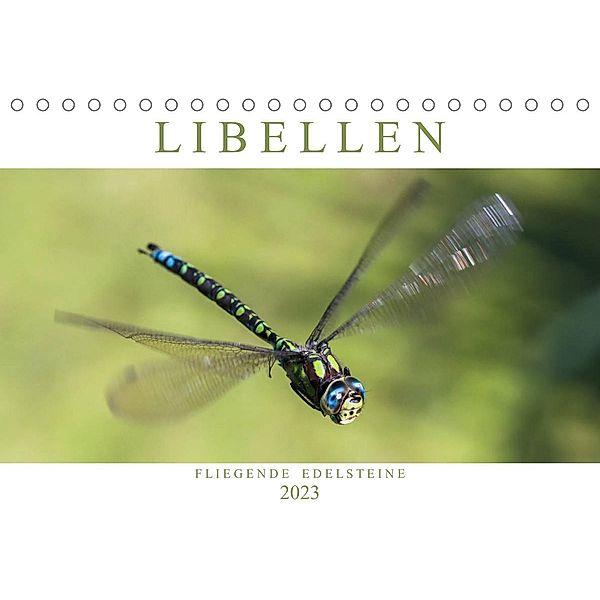 Libellen - Fliegende Edelsteine (Tischkalender 2023 DIN A5 quer), Andreas Lippmann