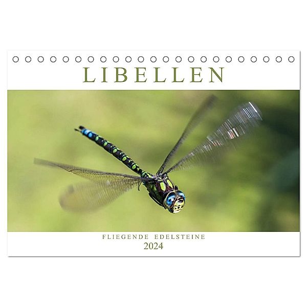 Libellen - Fliegende Edelsteine (Tischkalender 2024 DIN A5 quer), CALVENDO Monatskalender, Andreas Lippmann