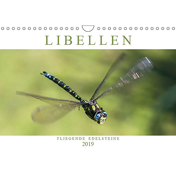 Libellen - Fliegende Edelsteine (Wandkalender 2019 DIN A4 quer), Andreas Lippmann