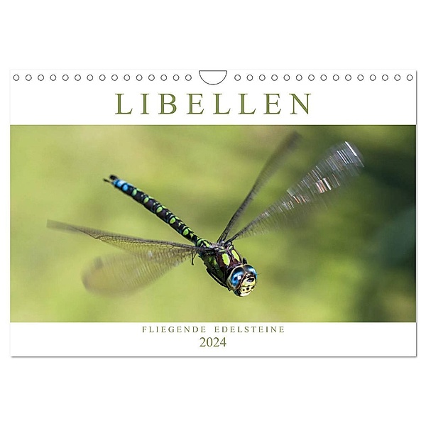 Libellen - Fliegende Edelsteine (Wandkalender 2024 DIN A4 quer), CALVENDO Monatskalender, Andreas Lippmann