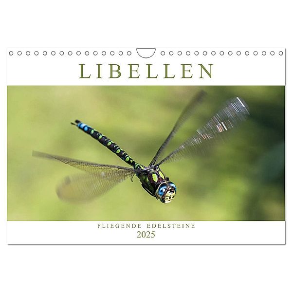 Libellen - Fliegende Edelsteine (Wandkalender 2025 DIN A4 quer), CALVENDO Monatskalender, Calvendo, Andreas Lippmann