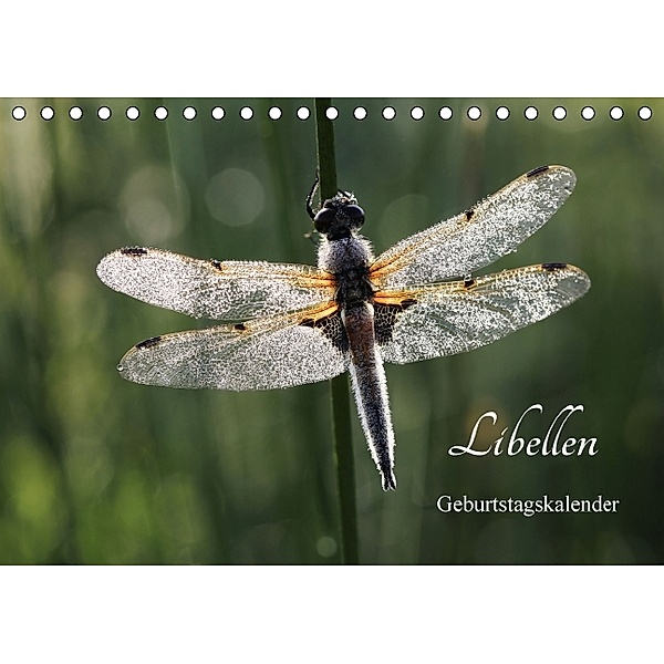 Libellen Geburtstagskalender (Tischkalender immerwährend DIN A5 quer), Gudrun Nitzold-Briele