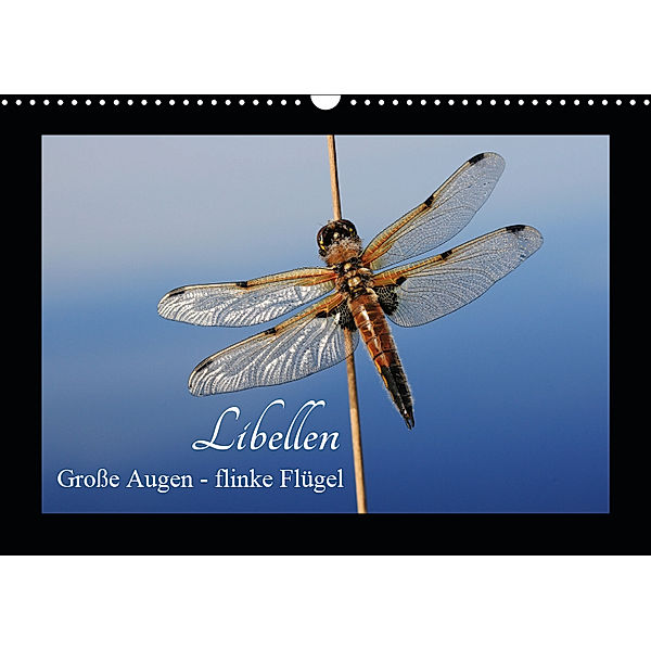 Libellen. Große Augen - flinke Flügel (Wandkalender 2019 DIN A3 quer), Gudrun Nitzold-Briele