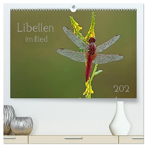 Libellen im Ried (hochwertiger Premium Wandkalender 2025 DIN A2 quer), Kunstdruck in Hochglanz, Calvendo, Dorothea Oldani