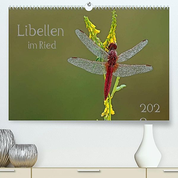Libellen im Ried (Premium, hochwertiger DIN A2 Wandkalender 2023, Kunstdruck in Hochglanz), Dorothea Oldani