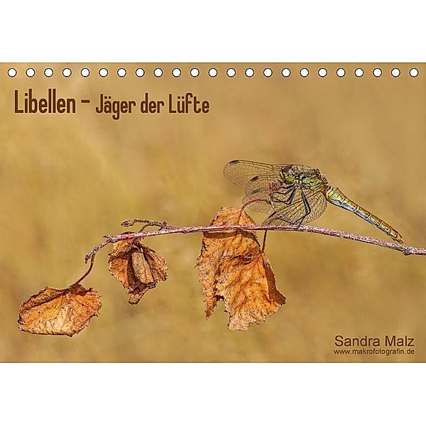 Libellen - Jäger der Lüfte (Tischkalender 2017 DIN A5 quer), Sandra Malz