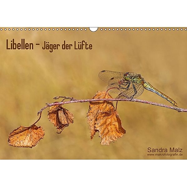 Libellen - Jäger der Lüfte (Wandkalender 2018 DIN A3 quer), Sandra Malz