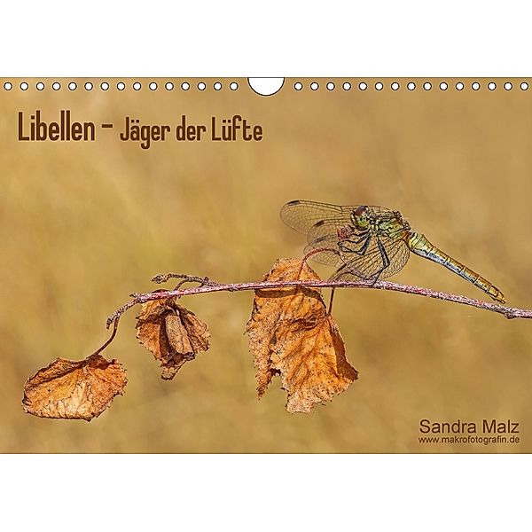 Libellen - Jäger der Lüfte (Wandkalender 2018 DIN A4 quer), Sandra Malz