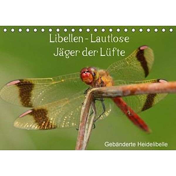 Libellen - Lautlose Jäger der Lüfte (Tischkalender 2015 DIN A5 quer), Winfried Erlwein
