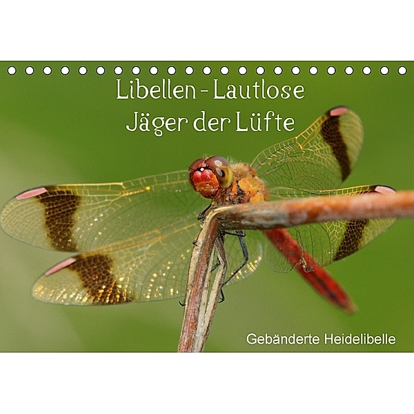 Libellen - Lautlose Jäger der Lüfte (Tischkalender 2018 DIN A5 quer), Winfried Erlwein