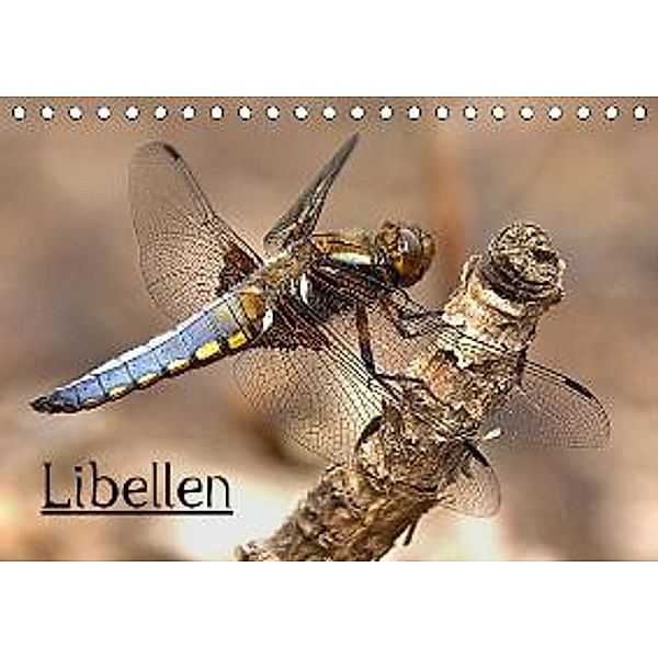 Libellen (Tischkalender 2016 DIN A5 quer), Arno Klatt