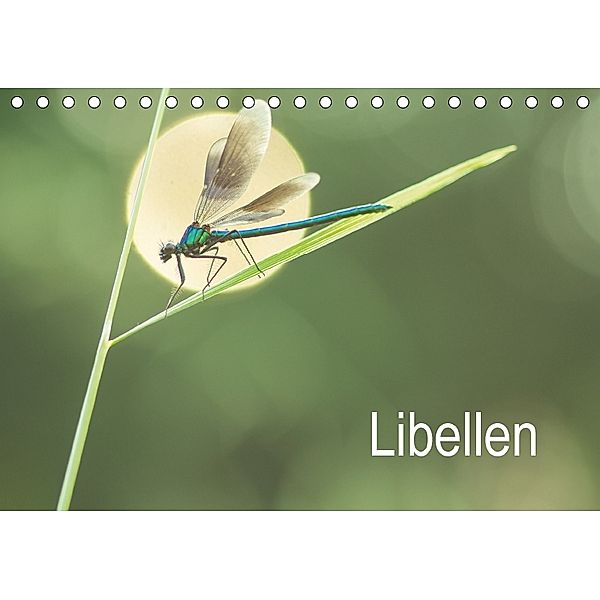 Libellen (Tischkalender 2018 DIN A5 quer), Alexander Kulla