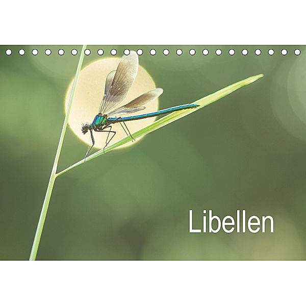 Libellen (Tischkalender 2019 DIN A5 quer), Alexander Kulla