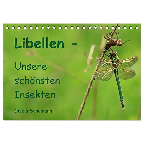 Libellen - Unsere schönsten Insekten (Tischkalender 2024 DIN A5 quer), CALVENDO Monatskalender, Gisela Schümann