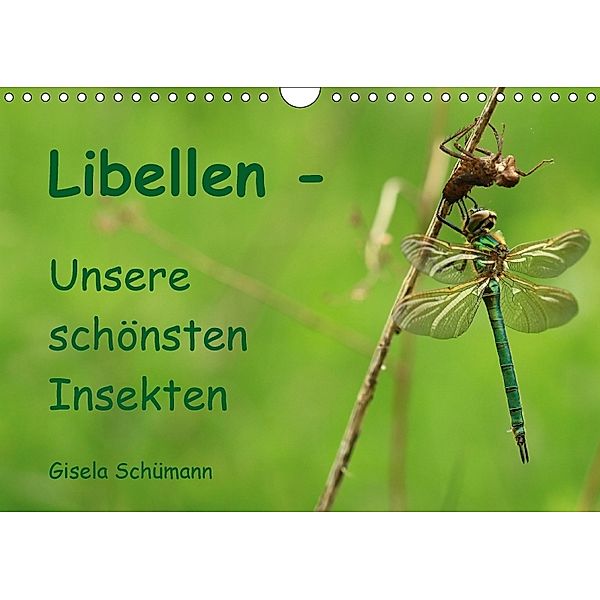 Libellen - Unsere schönsten Insekten (Wandkalender 2018 DIN A4 quer), Gisela Schümann