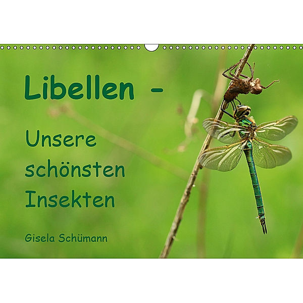 Libellen - Unsere schönsten Insekten (Wandkalender 2019 DIN A3 quer), Gisela Schümann