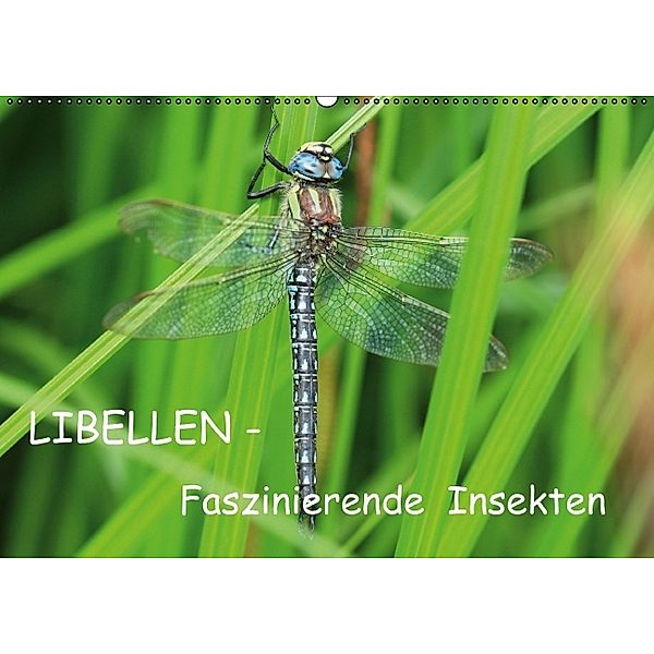 Libellen (Wandkalender 2014 DIN A2 quer), Gisela Schuemann