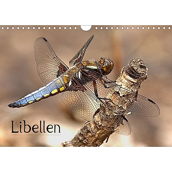 Libellen (Wandkalender 2014 DIN A4 quer), Arno Klatt