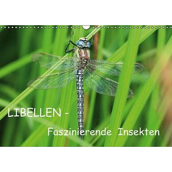 Libellen (Wandkalender 2015 DIN A3 quer), Gisela Schuemann