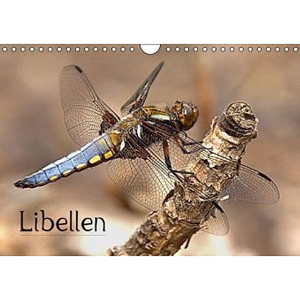 Libellen (Wandkalender 2015 DIN A4 quer), Arno Klatt