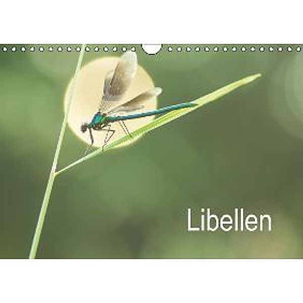 Libellen (Wandkalender 2016 DIN A4 quer), Alexander Kulla