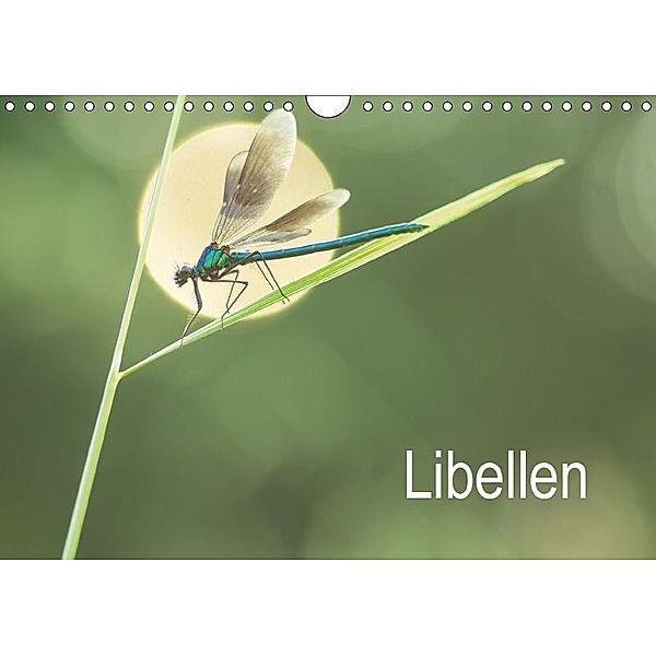 Libellen (Wandkalender 2017 DIN A4 quer), Alexander Kulla