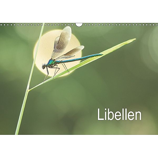 Libellen (Wandkalender 2018 DIN A3 quer), Alexander Kulla