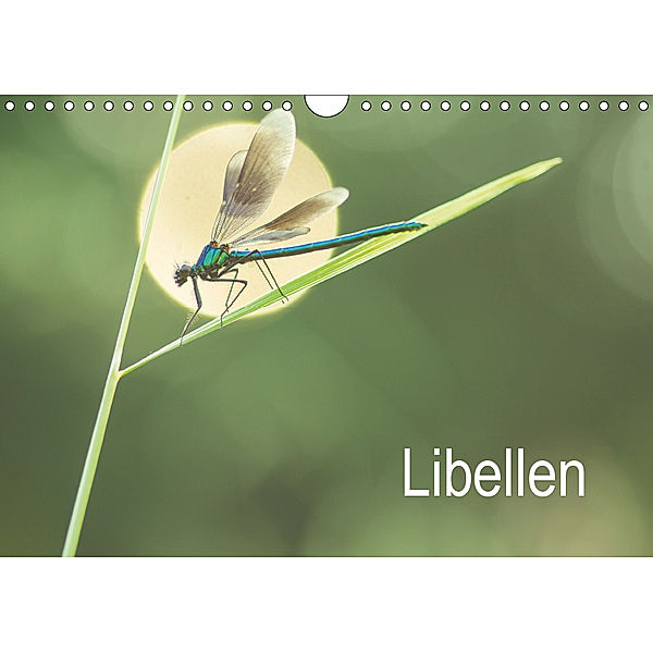 Libellen (Wandkalender 2019 DIN A4 quer), Alexander Kulla