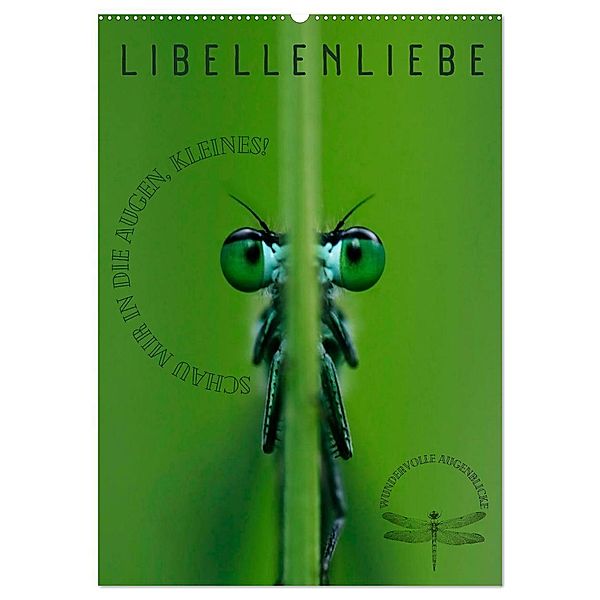 LibellenLiebe - Schau mir in die Augen, Kleines! (Wandkalender 2025 DIN A2 hoch), CALVENDO Monatskalender, Calvendo, Kirsten d'Angelo - soulimages