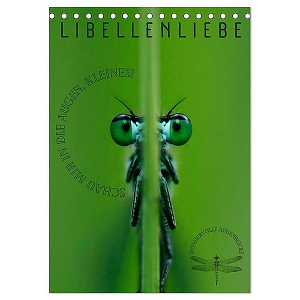 LibellenLiebe - Schau mir in die Augen, Kleines! (Tischkalender 2025 DIN A5 hoch), CALVENDO Monatskalender, Calvendo, Kirsten d'Angelo - soulimages