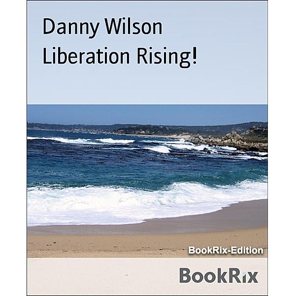 Liberation Rising!, Danny Wilson