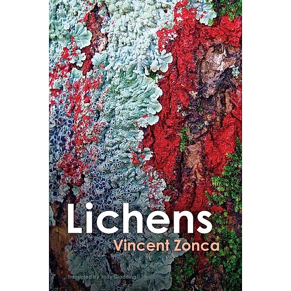 Lichens, Vincent Zonca