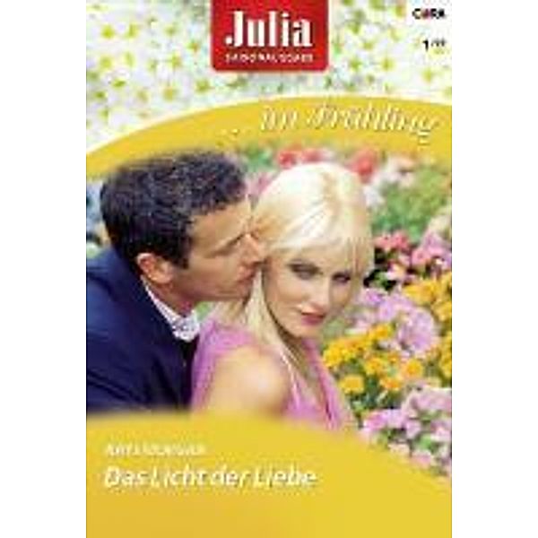 Licht der Liebe / Julia Romane Bd.64, Raye Morgan