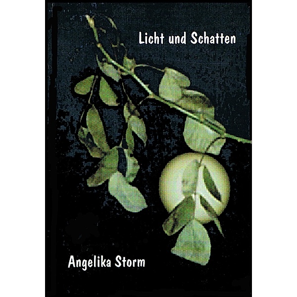 Licht und Schatten, Angelika Storm
