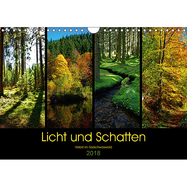 Licht und Schatten - Herbst im Südschwarzwald (Wandkalender 2018 DIN A4 quer), Lost Plastron Pictures