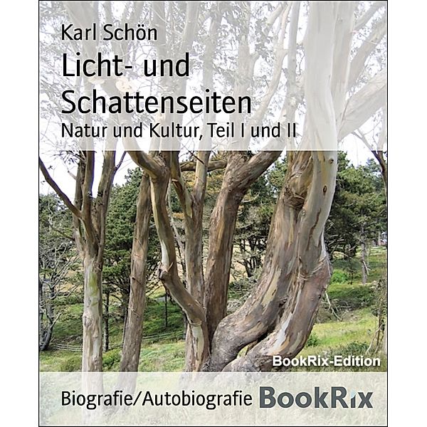 Licht- und Schattenseiten, Karl Schön