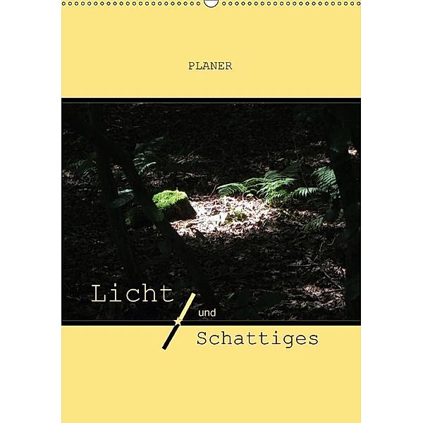 Licht und Schattiges (Wandkalender 2017 DIN A2 hoch), Angelika Keller