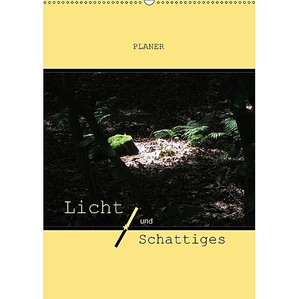 Licht und Schattiges (Wandkalender 2018 DIN A2 hoch), Angelika Keller