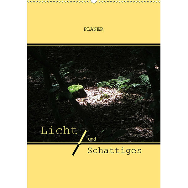 Licht und Schattiges (Wandkalender 2019 DIN A2 hoch), Angelika Keller