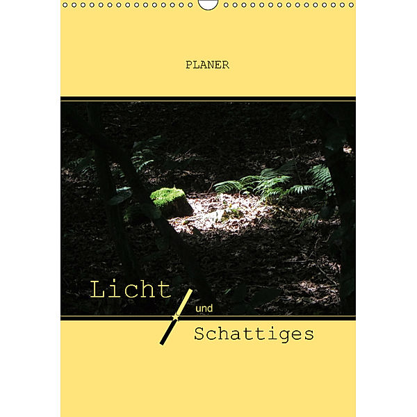 Licht und Schattiges (Wandkalender 2019 DIN A3 hoch), Angelika Keller