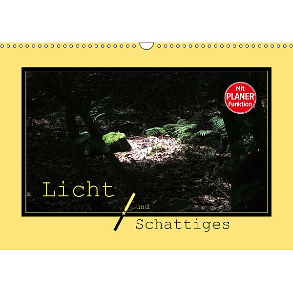 Licht und Schattiges (Wandkalender 2019 DIN A3 quer), Angelika Keller