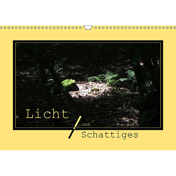 Licht und Schattiges (Wandkalender 2019 DIN A3 quer), Angelika Keller