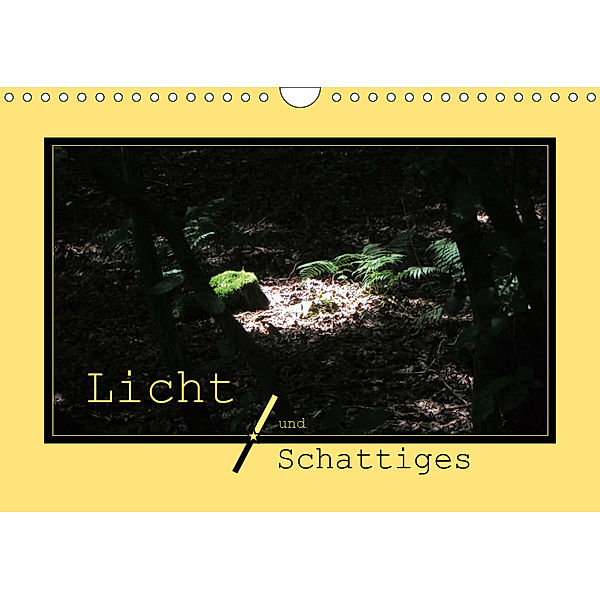 Licht und Schattiges (Wandkalender 2019 DIN A4 quer), Angelika Keller