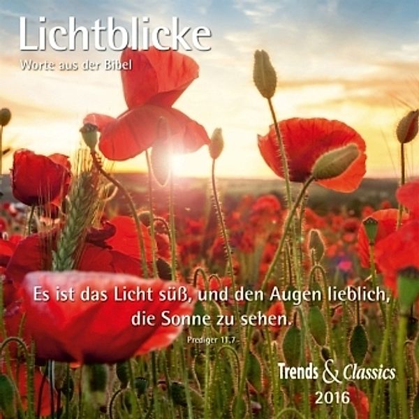 Lichtblicke 2016